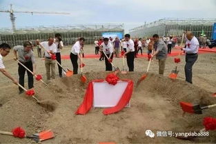 投資8000萬將大海搬進工廠 新疆首個循環(huán)水工廠養(yǎng)殖示范基地助力水產(chǎn)品養(yǎng)殖新突破
